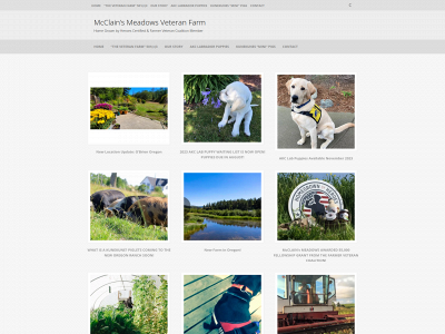 mcclainsmeadows.org snapshot