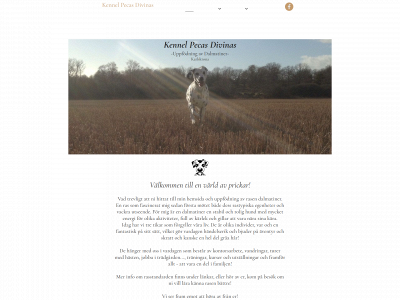 kennelpecasdivinas.se snapshot