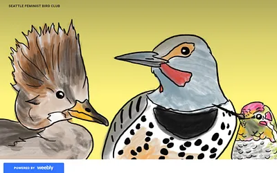 seattlefeministbirdclub.weebly.com snapshot
