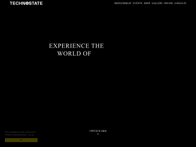 technostate.se snapshot