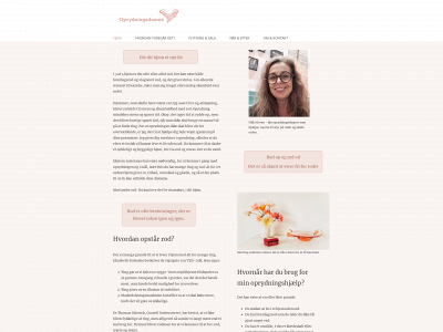 oprydningsdamen.dk snapshot