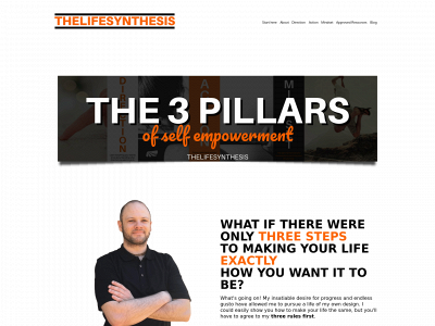 thelifesynthesis.com snapshot