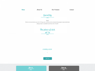 gurncity.com snapshot