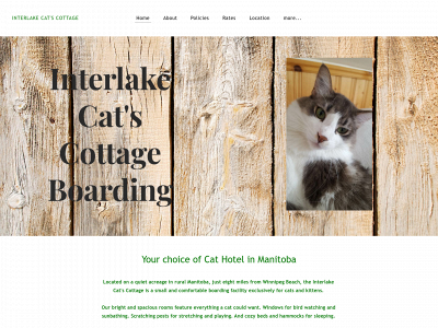www.interlakecatscottage.ca snapshot
