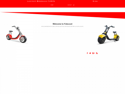 fatscoot.com snapshot