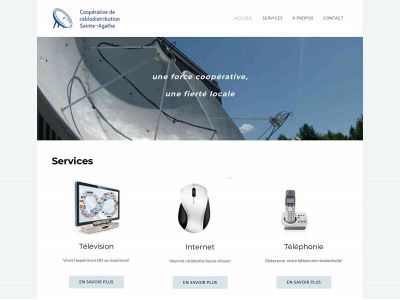 coopsteagathe.com snapshot