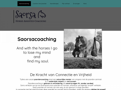 saorsacoaching.be snapshot