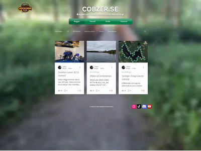 cobzer.se snapshot
