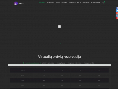 vrcity.lt snapshot