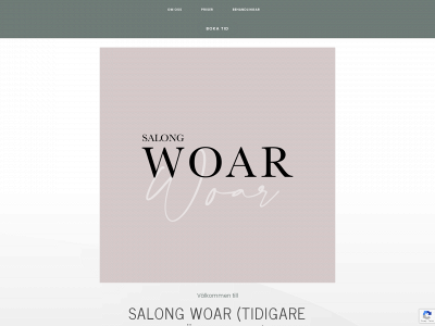 salongsjalvfallet.se snapshot