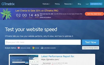 gtmetrix.com snapshot