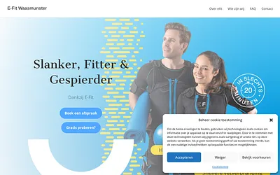 efitwaasmunster.be snapshot