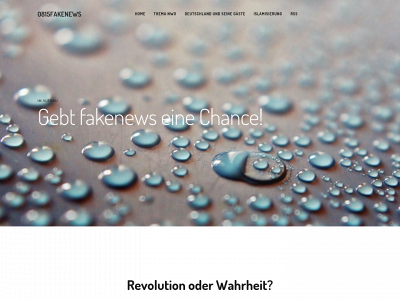 0815fakenews.weebly.com snapshot