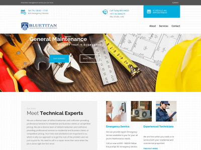 bluetitanfm.com snapshot