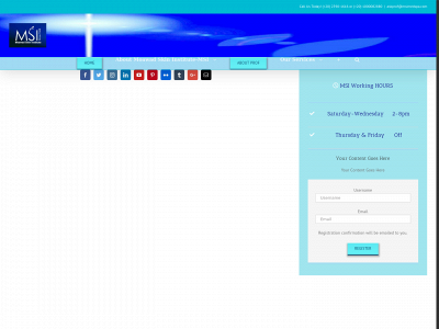 msimedspa.com snapshot