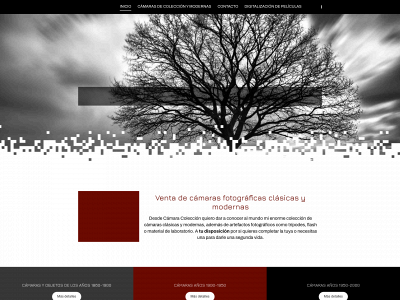 www.camaracoleccion.com snapshot