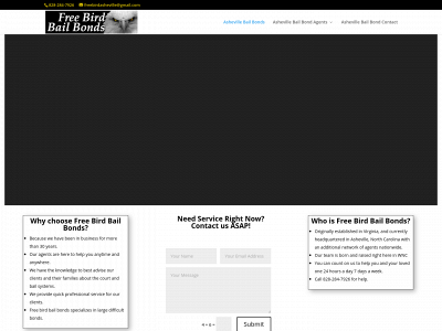freebirdbailbondsnc.com snapshot