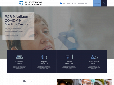 elevationsafetygroup.com snapshot