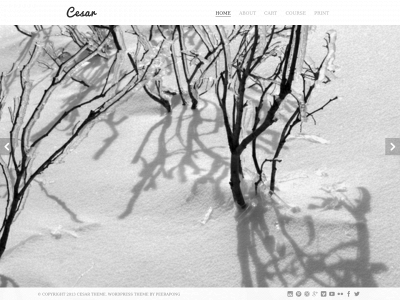 photocoursesaustralia.com snapshot