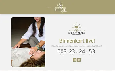 debbieholistic.nl snapshot