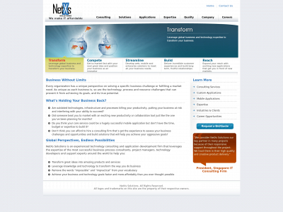 netxssolutions.com snapshot