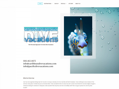 caribbeandivevacations.com snapshot