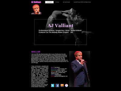 ajvalliant.co.uk snapshot