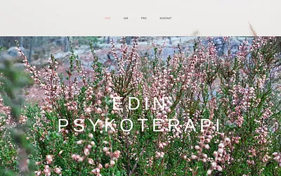 edinpsykoterapi.se snapshot
