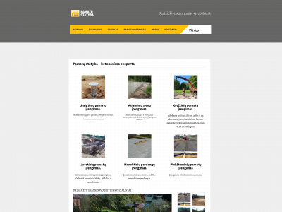 pamatustatyba.lt snapshot