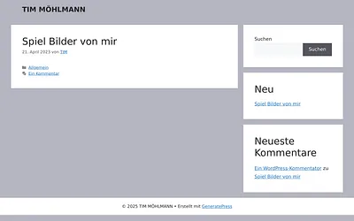 tim-moehlmann.com snapshot