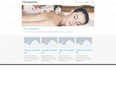 tcm-akupunktur.dk snapshot