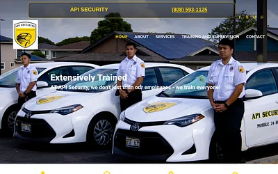 apisecurityinc.net snapshot