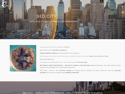 seocity.lt snapshot