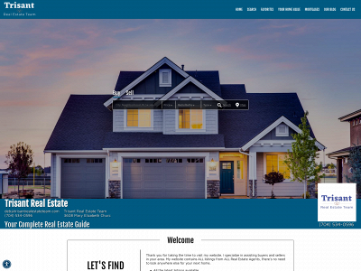 trisantrealestateteam.com snapshot