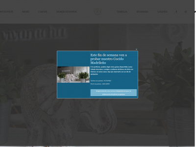 lavivaracha.com snapshot