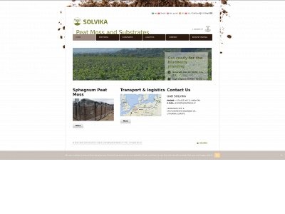 solvika.lt snapshot