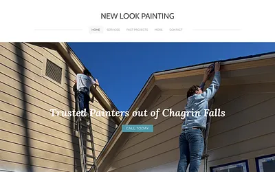 www.newlookpaintingohio.com snapshot