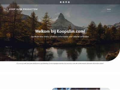 koopslim.com snapshot