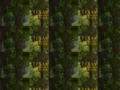 texastailcleaners.com snapshot