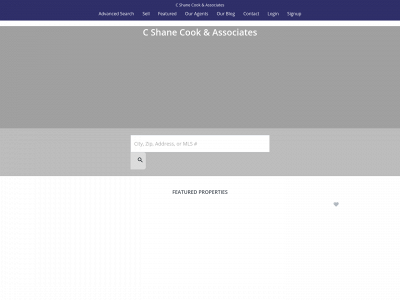 cshanecookassociates.com snapshot