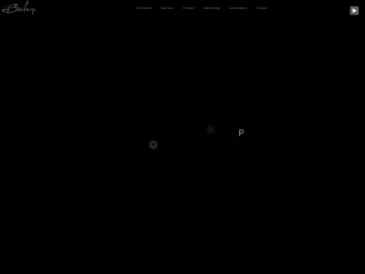 vaughnbishop.com snapshot