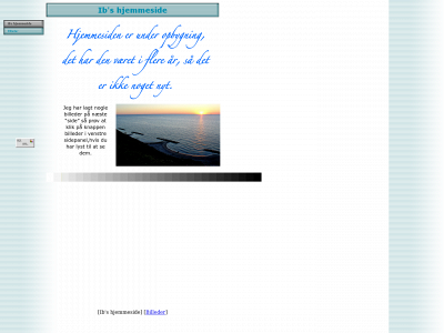 ibpico.dk snapshot