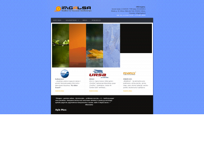 imgalsa.lt snapshot