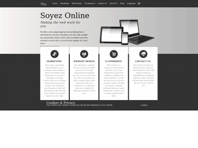 soyezonline.com snapshot