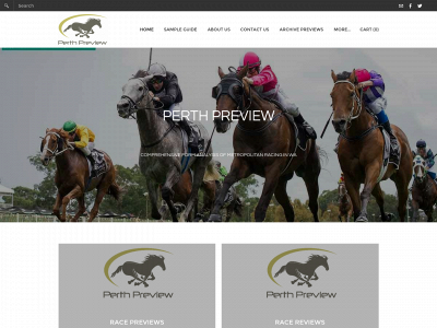 www.perthpreview.com snapshot