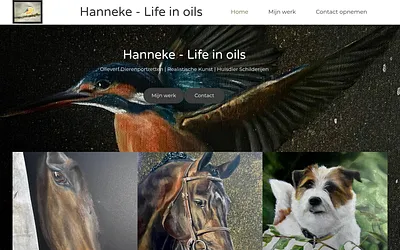 lifeinoils.nl snapshot
