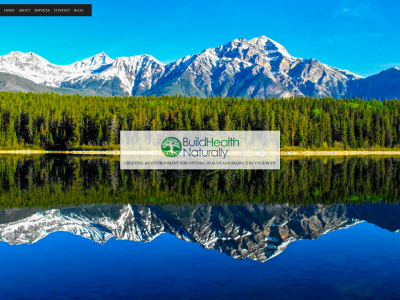 buildhealthnaturally.com snapshot