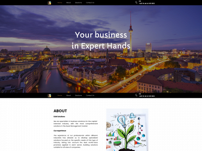eam-solution.de snapshot