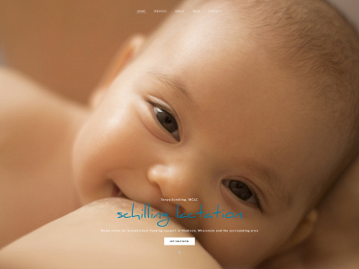 www.schillinglactation.com snapshot