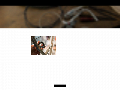 wheelies.dk snapshot